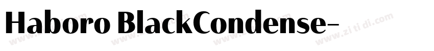 Haboro BlackCondense字体转换